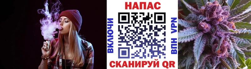 Конопля гибрид Мураши